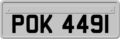 POK4491