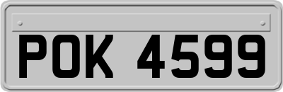 POK4599