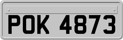 POK4873