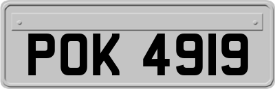 POK4919
