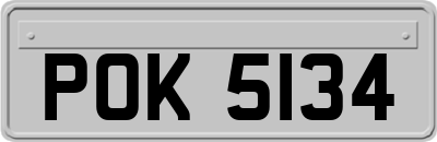 POK5134
