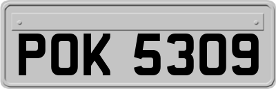 POK5309