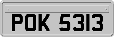 POK5313