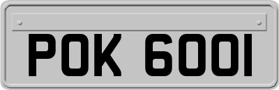POK6001