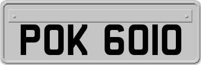 POK6010