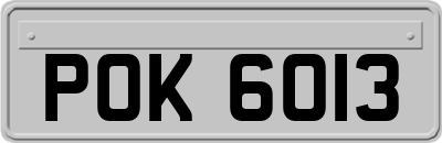POK6013