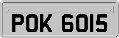 POK6015