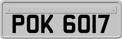 POK6017