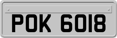 POK6018