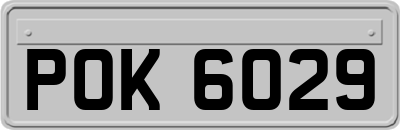 POK6029