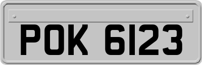 POK6123