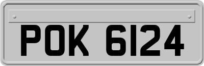 POK6124