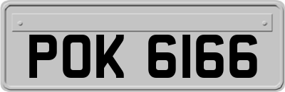 POK6166