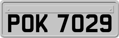 POK7029