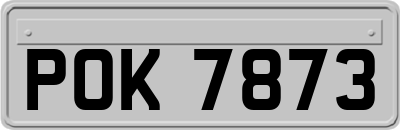 POK7873