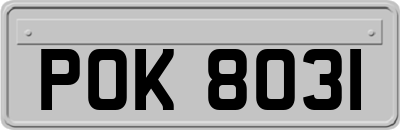 POK8031