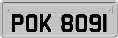 POK8091