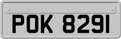POK8291