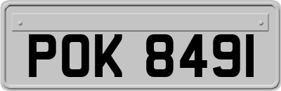 POK8491