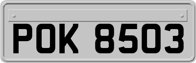 POK8503