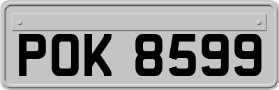 POK8599