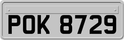 POK8729