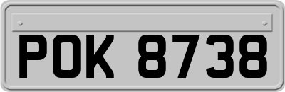 POK8738