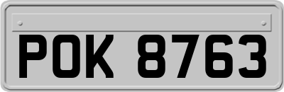 POK8763