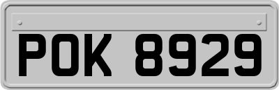 POK8929