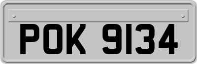 POK9134