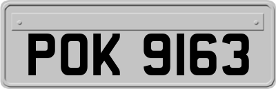 POK9163