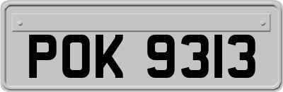 POK9313