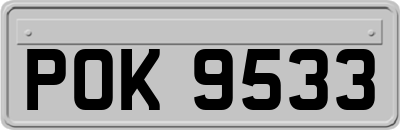 POK9533