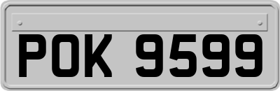 POK9599