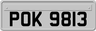 POK9813