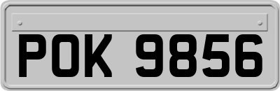 POK9856