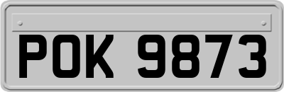 POK9873