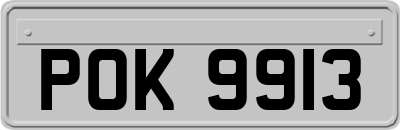 POK9913