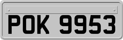 POK9953
