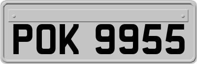 POK9955