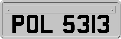 POL5313
