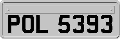 POL5393