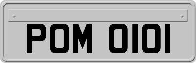 POM0101