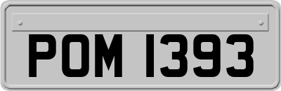 POM1393