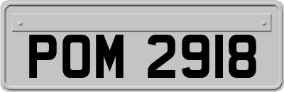 POM2918