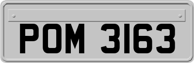POM3163