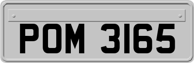 POM3165