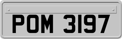 POM3197