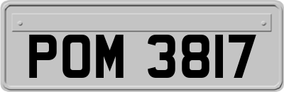 POM3817