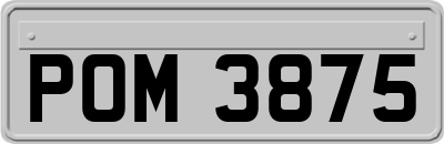 POM3875